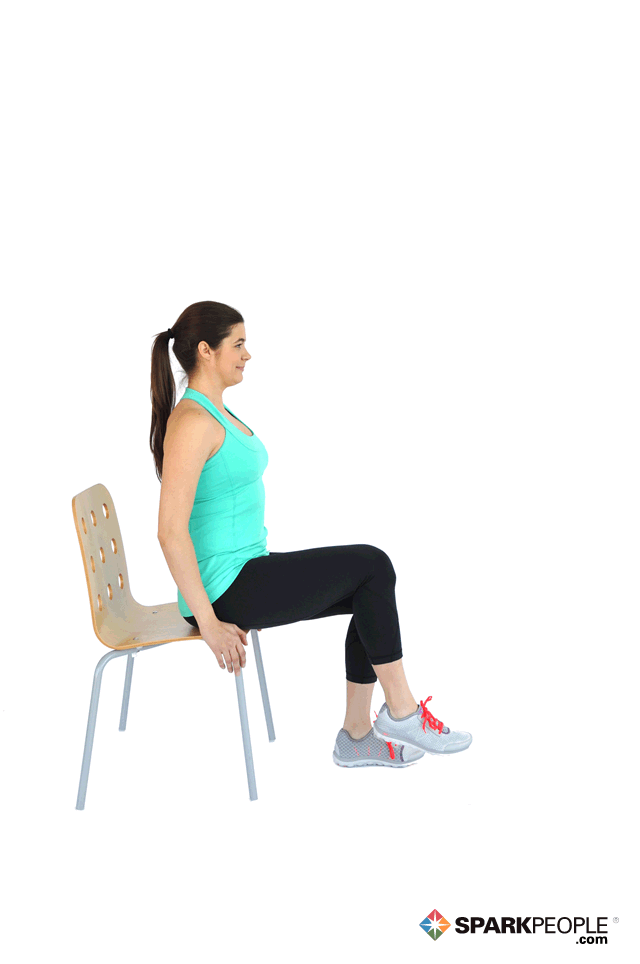 Seated Leg Extensions Exercise 